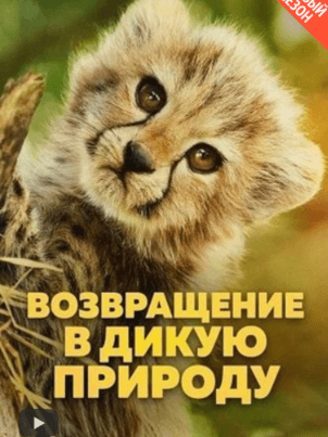 Возвращение в дикую природу