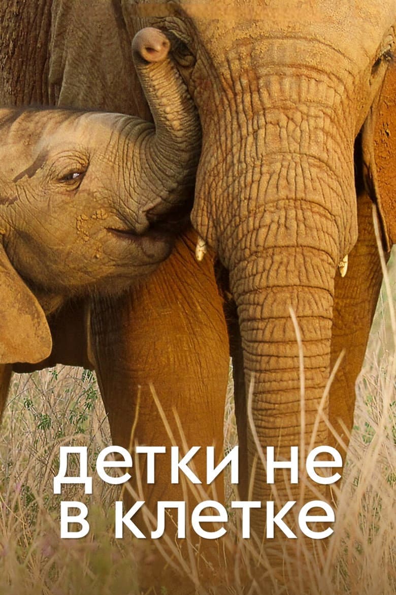Детки не в клетке