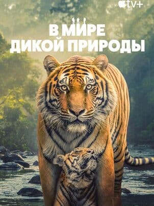 В мире дикой природы