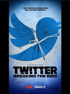 Twitter: Гибель птички