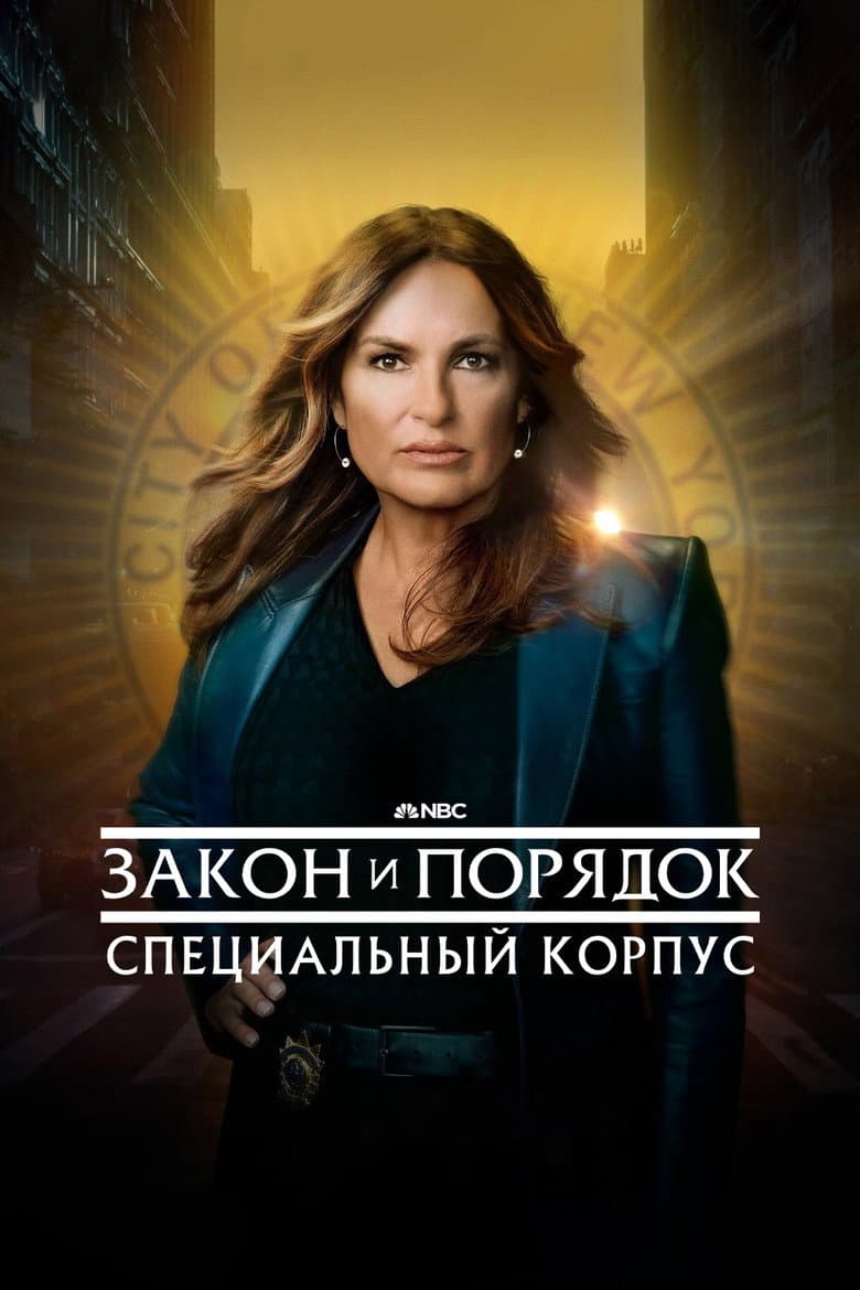 Постер Закон и порядок: Специальный корпус