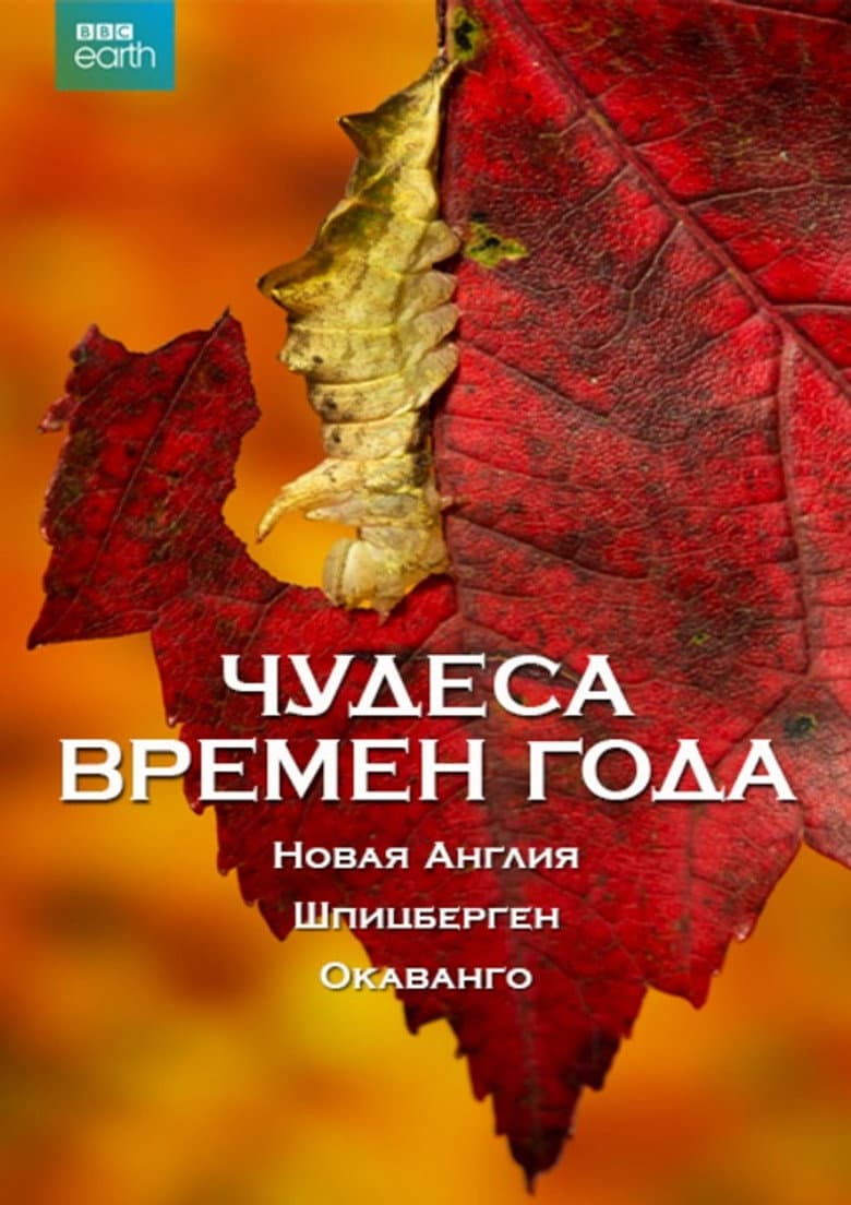 Чудеса времен года